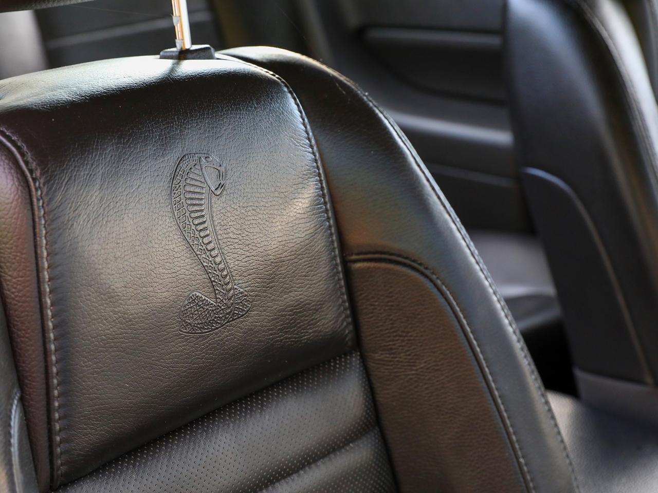 2009 Ford Mustang Shelby GT500 Photo