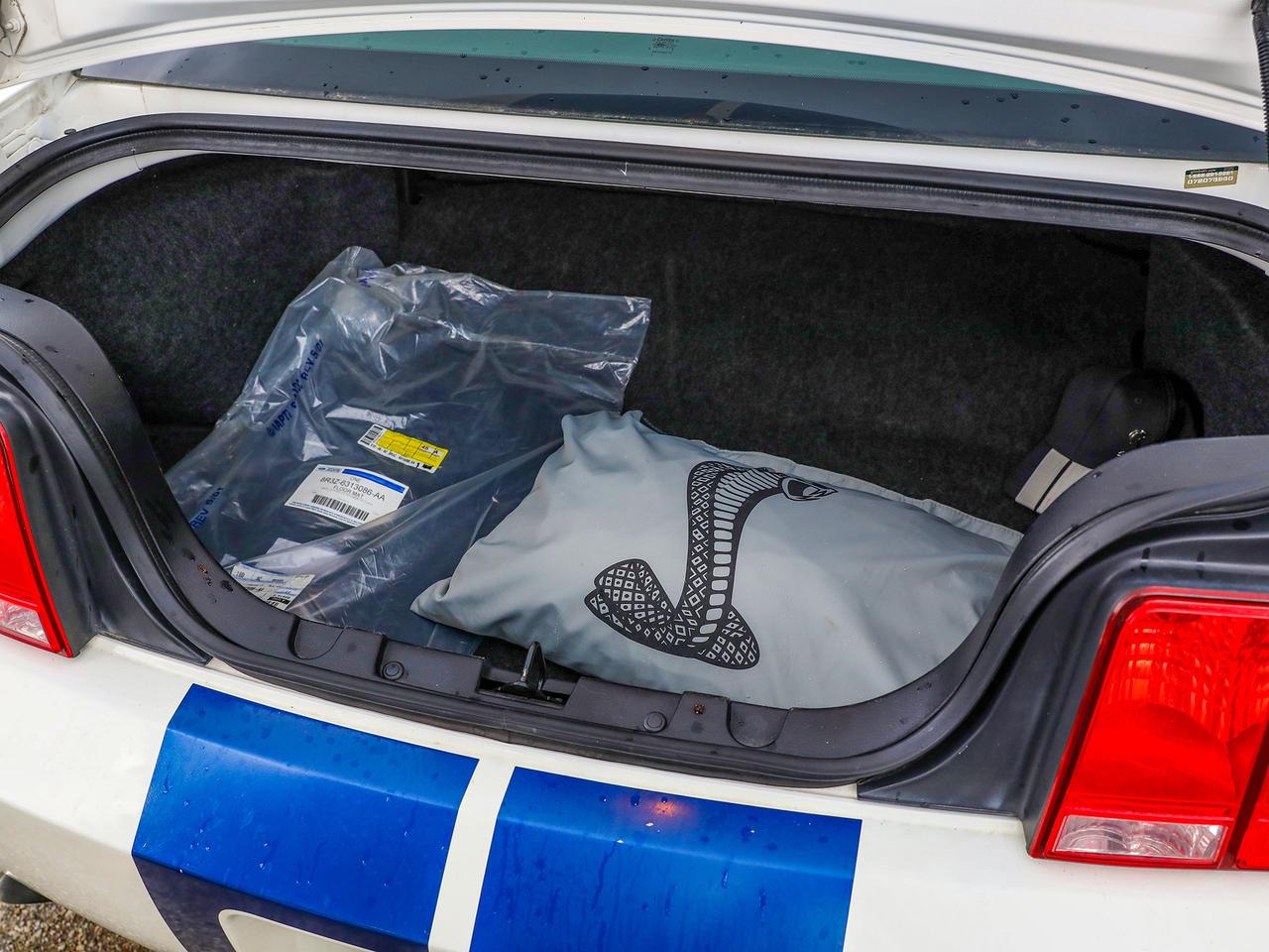 2009 Ford Mustang Shelby GT500 Photo