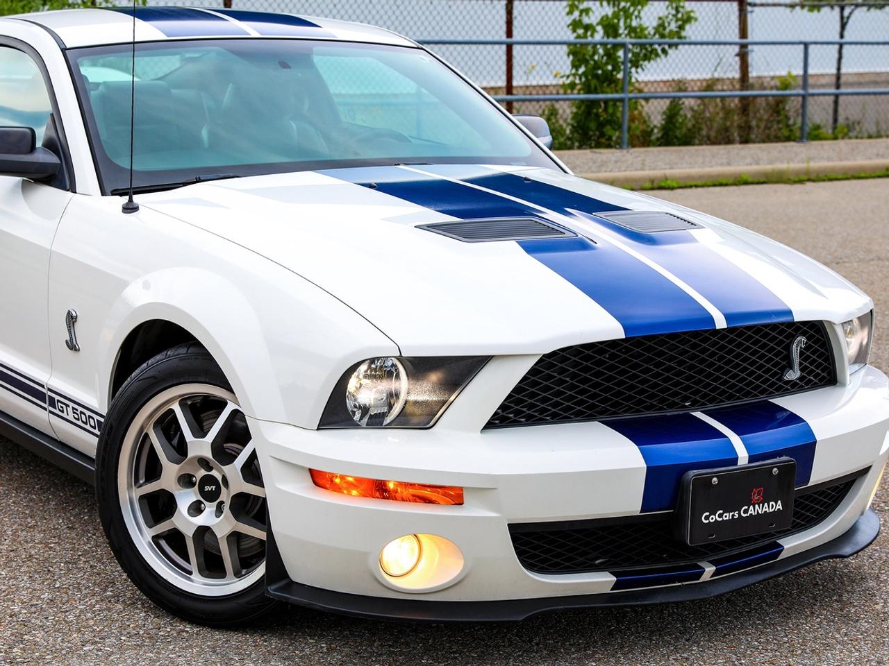 2009 Ford Mustang Shelby GT500 Photo