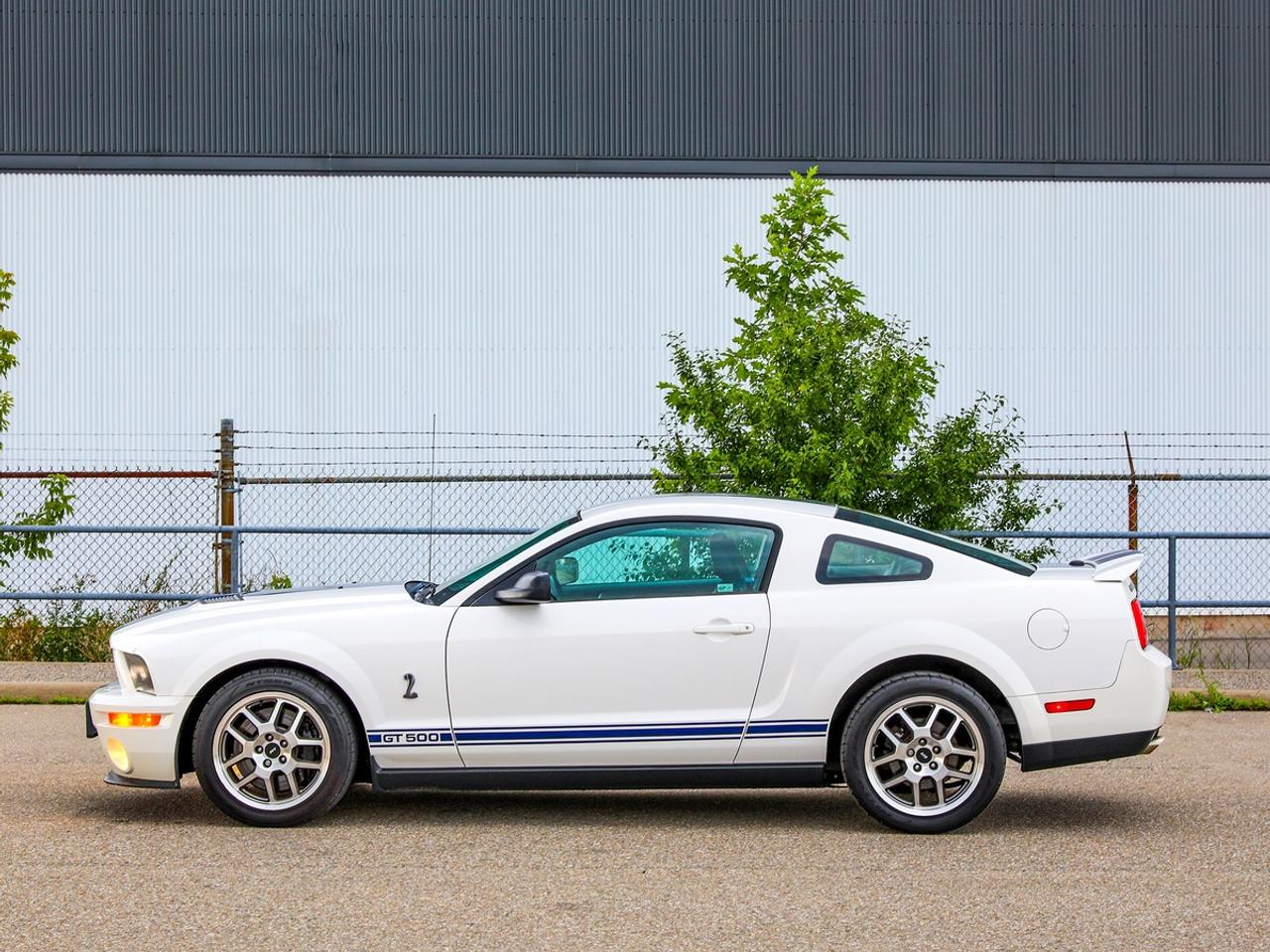 2009 Ford Mustang Shelby GT500 Photo