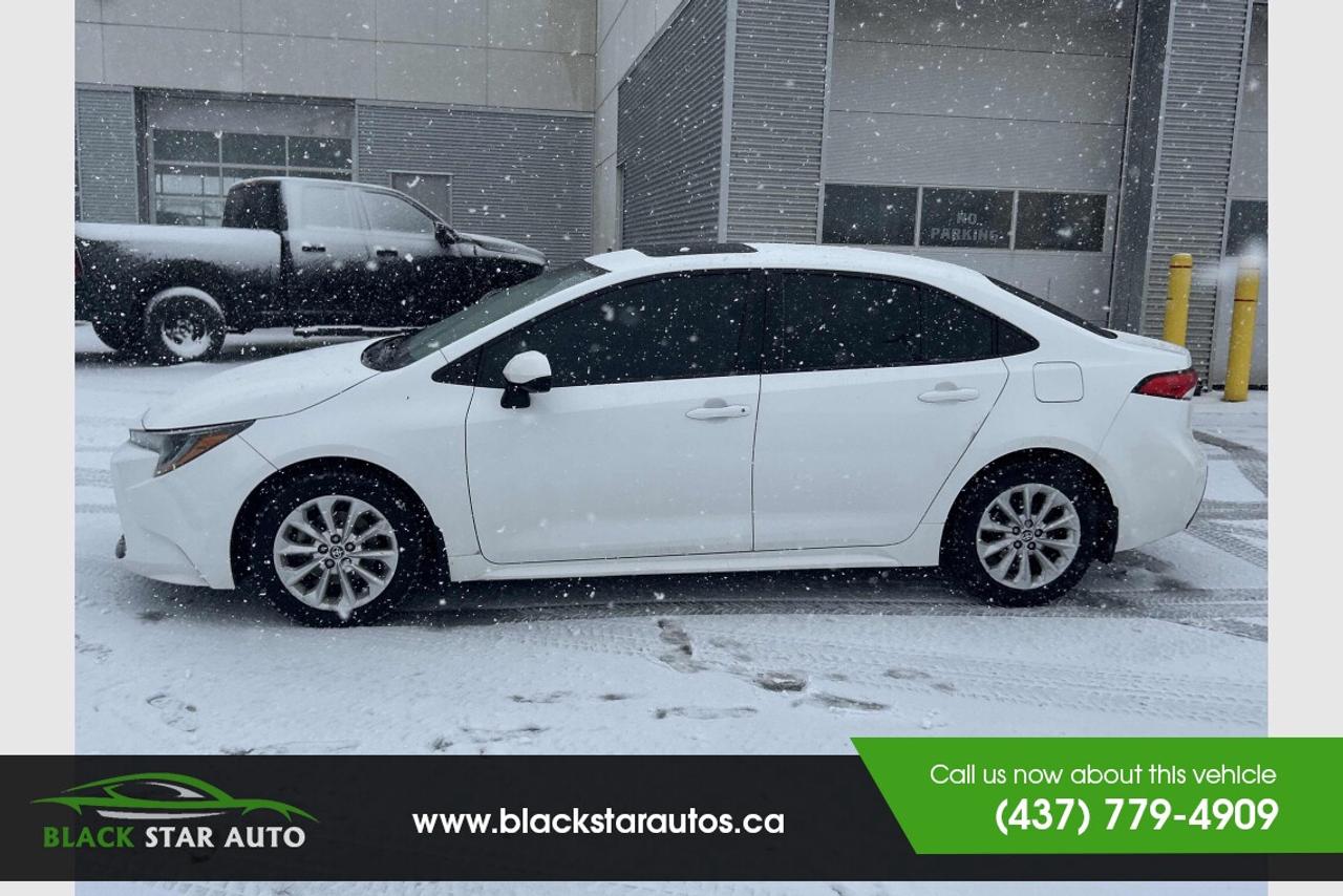 2020 Toyota Corolla LE Photo