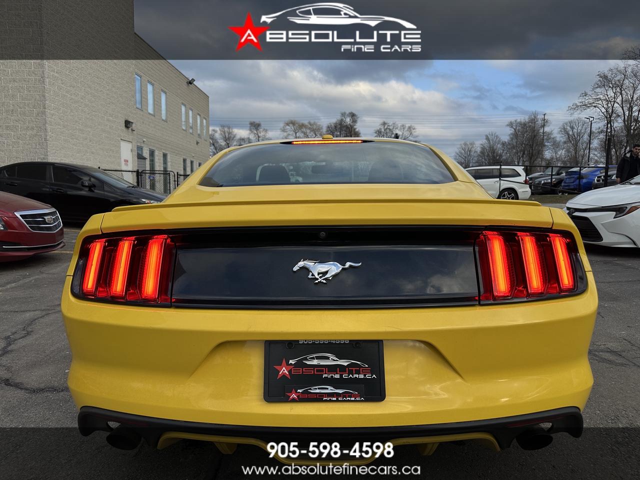 2016 Ford Mustang EcoBoost Photo0