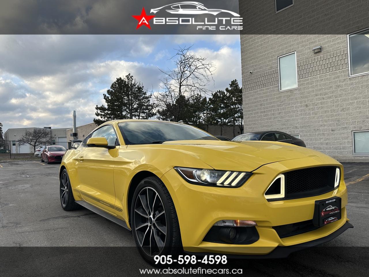 2016 Ford Mustang EcoBoost Photo