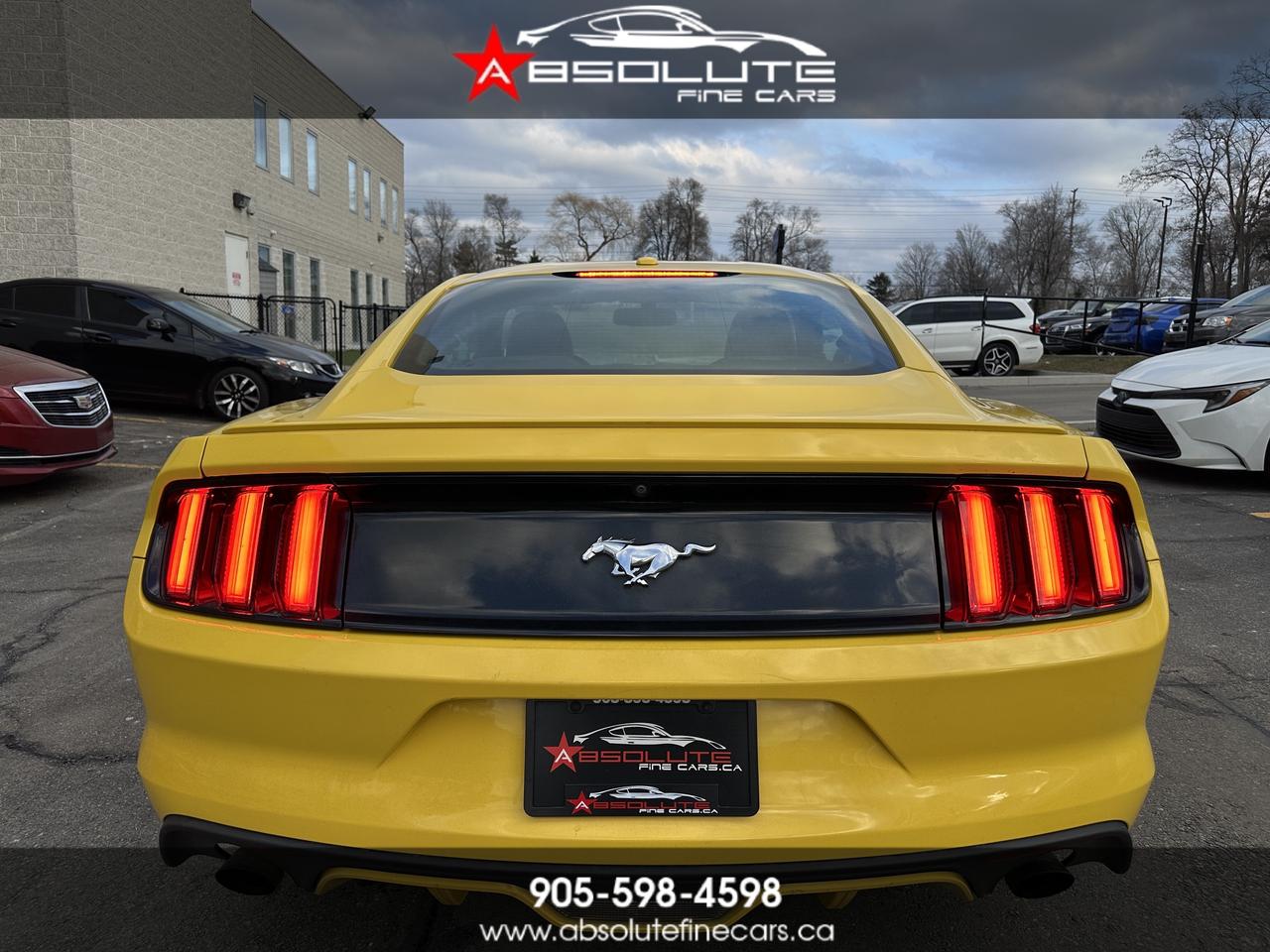 2016 Ford Mustang EcoBoost Photo