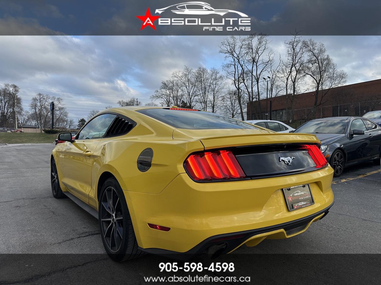 2016 Ford Mustang EcoBoost Photo