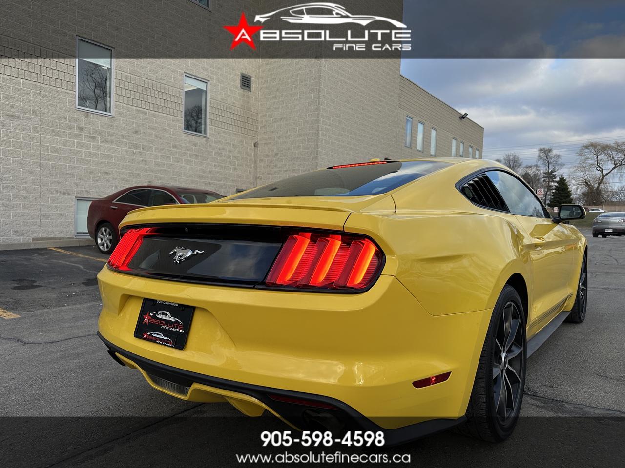 2016 Ford Mustang EcoBoost Photo