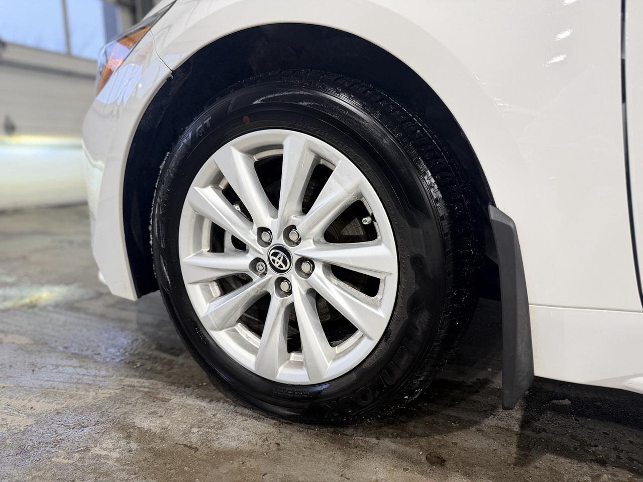 2025 Toyota Corolla LE Photo