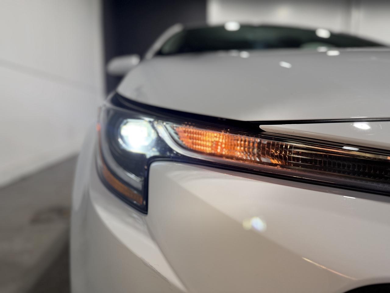 2025 Toyota Corolla LE Photo