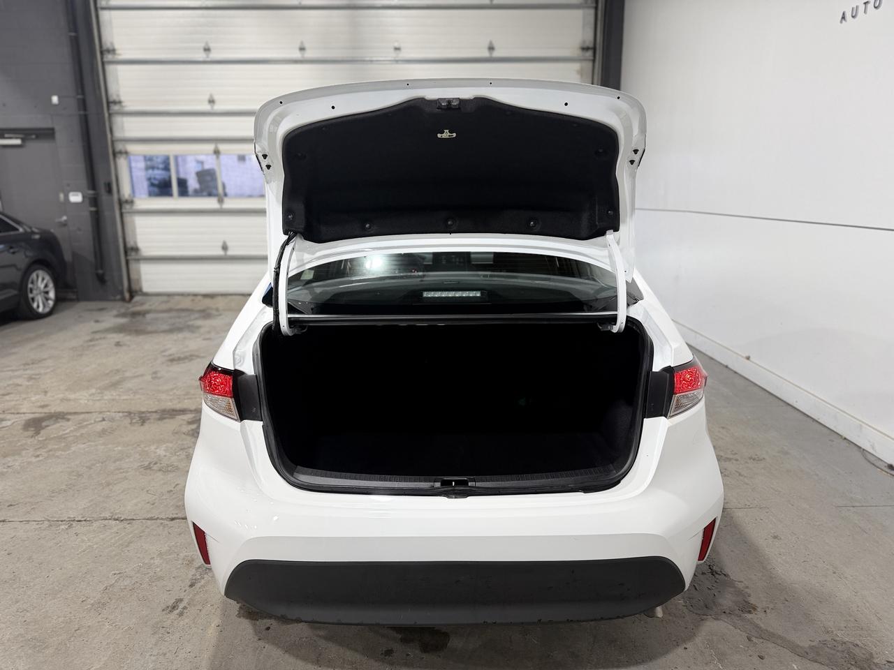 2025 Toyota Corolla LE Photo