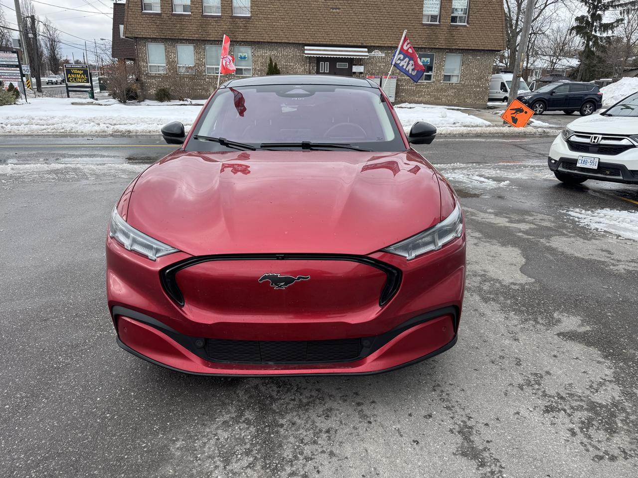 2021 Ford Mustang Mach-E Premium Photo0