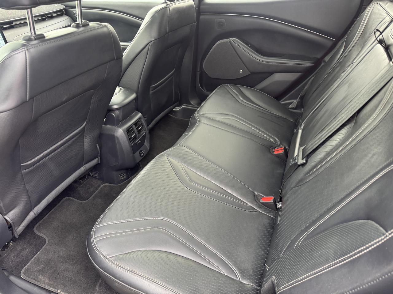 2021 Ford Mustang Mach-E Premium Photo