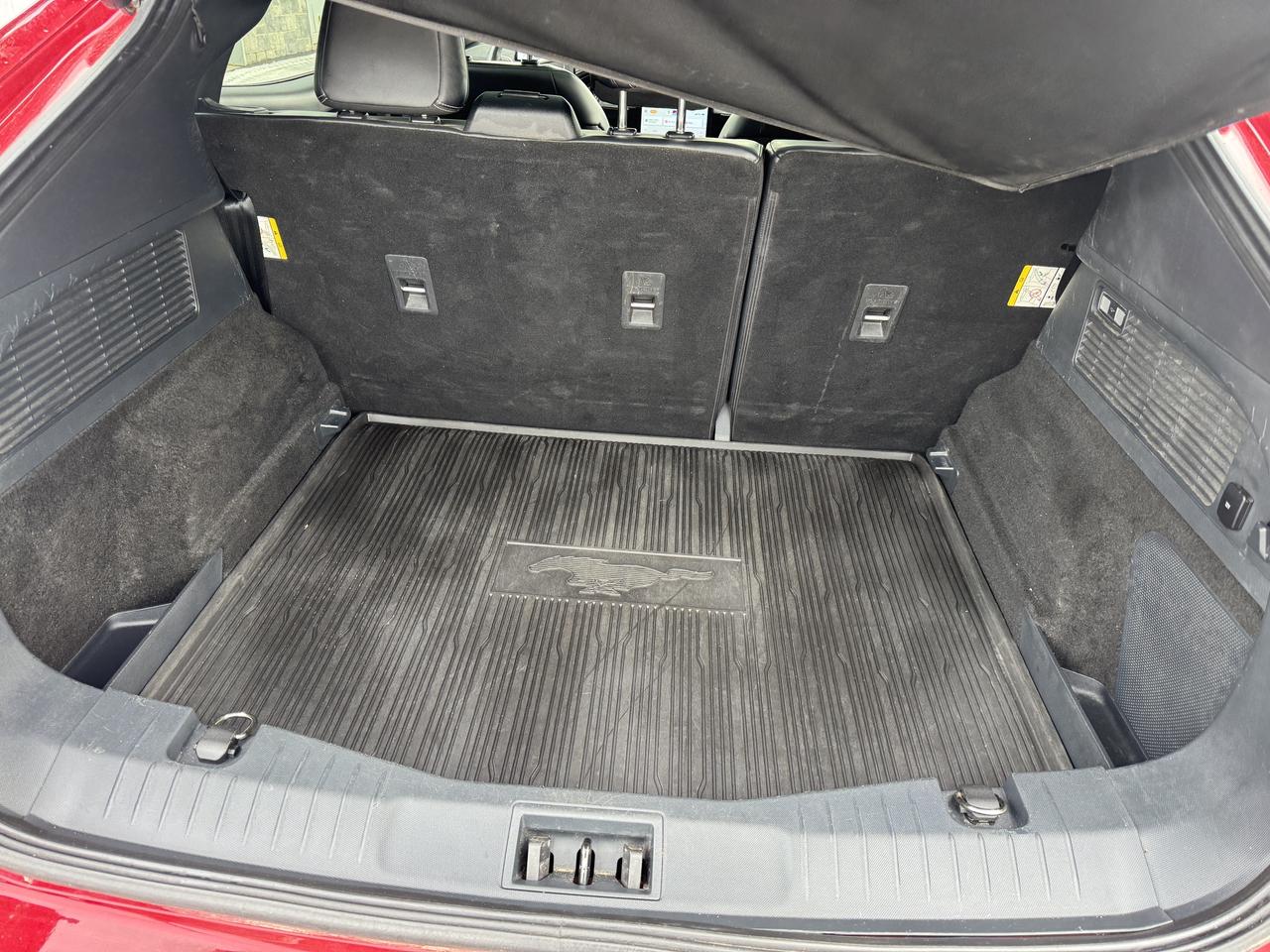 2021 Ford Mustang Mach-E Premium Photo