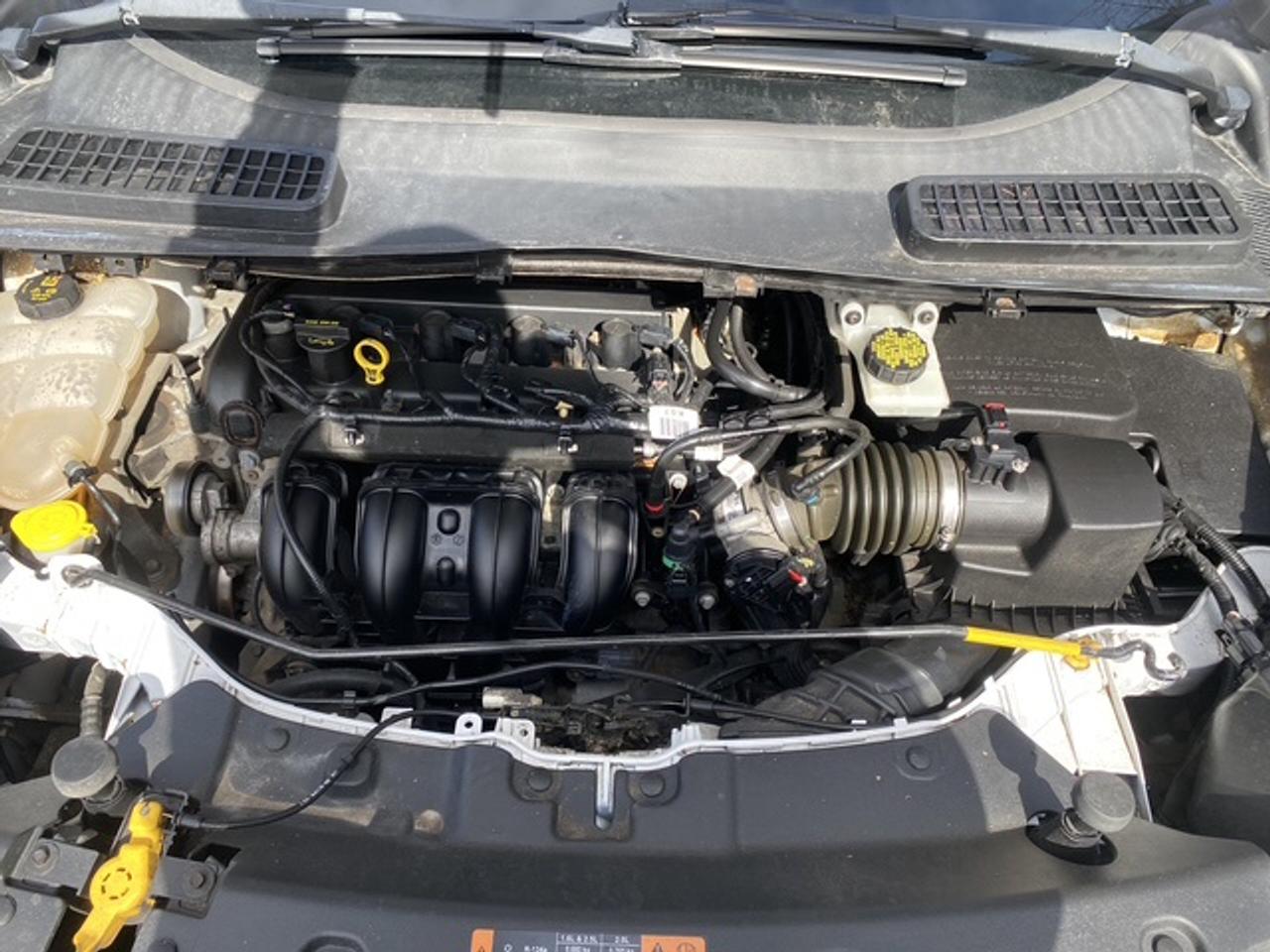 2015 Ford Escape S FWD 4dr Photo