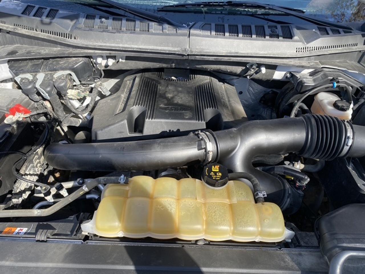 2020 Ford F-150 XLT 4WD SuperCrew 6.5' Box Photo