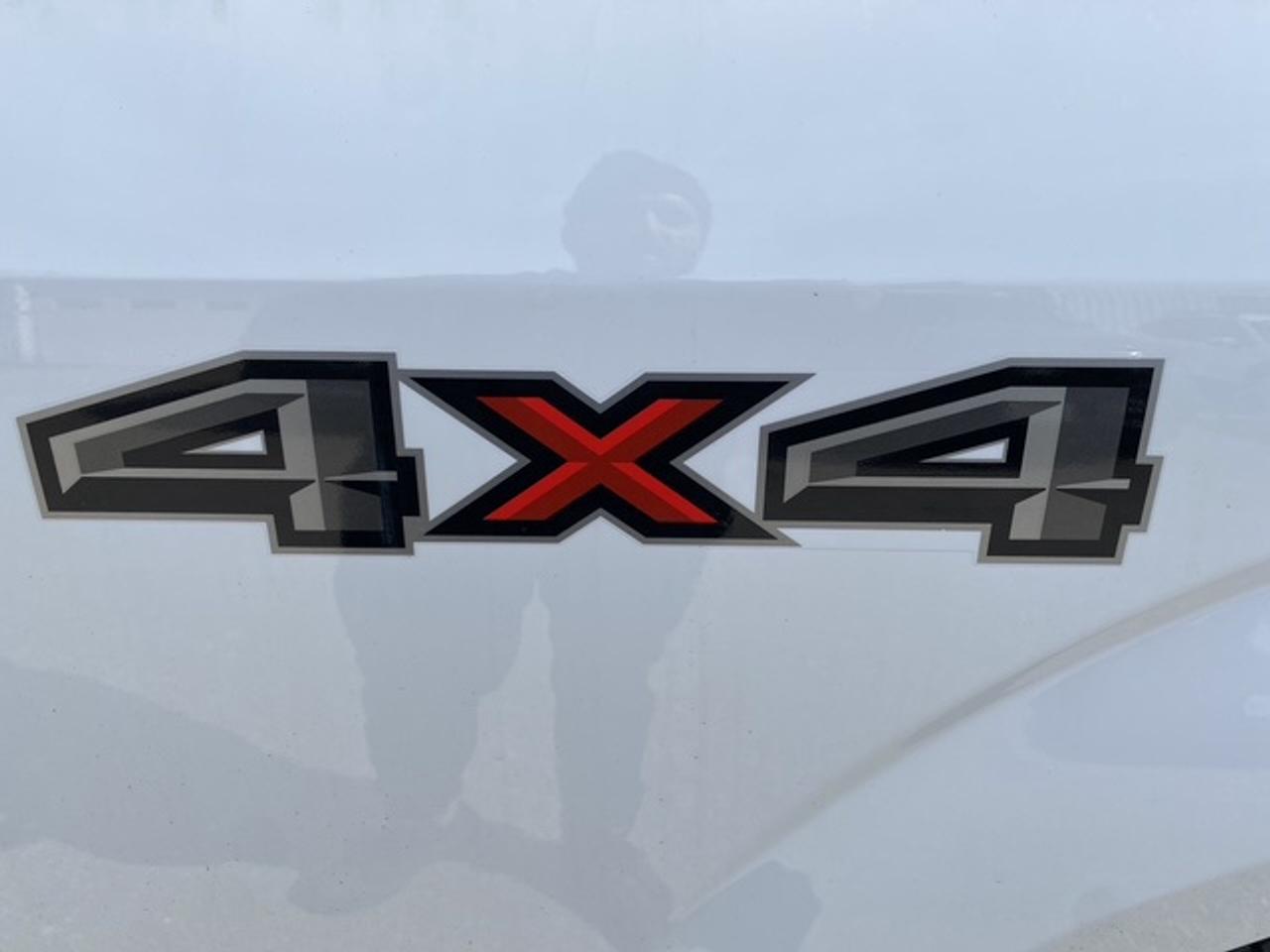 2019 Ford F-150 XLT CREW CAB STD BED 4WD SUPERCREW Photo