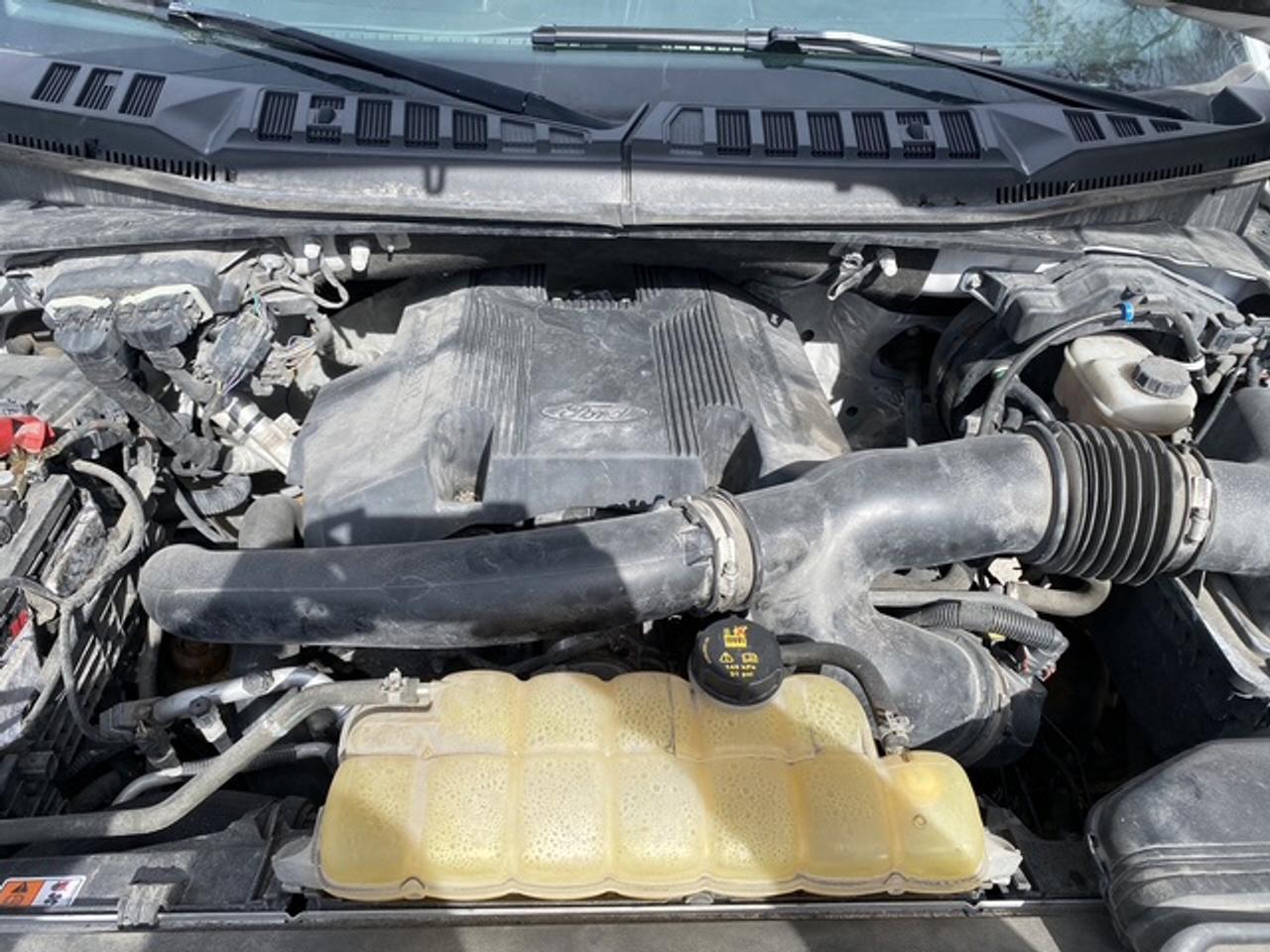 2019 Ford F-150 XLT CREW CAB STD BED 4WD SUPERCREW Photo