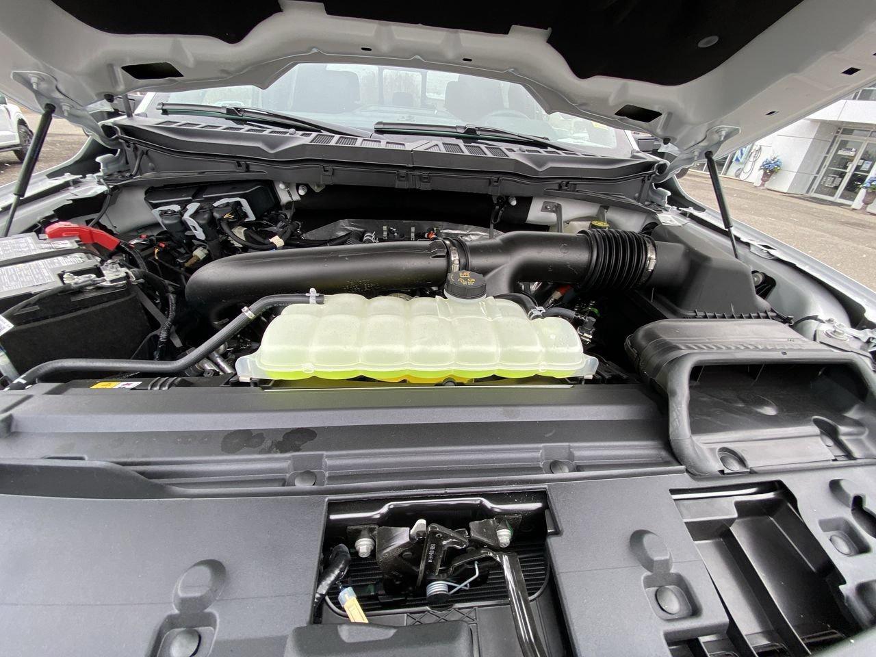 2026 Ford F-150 XLT Photo