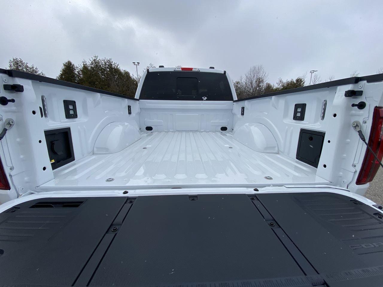 2026 Ford F-150 XLT Photo