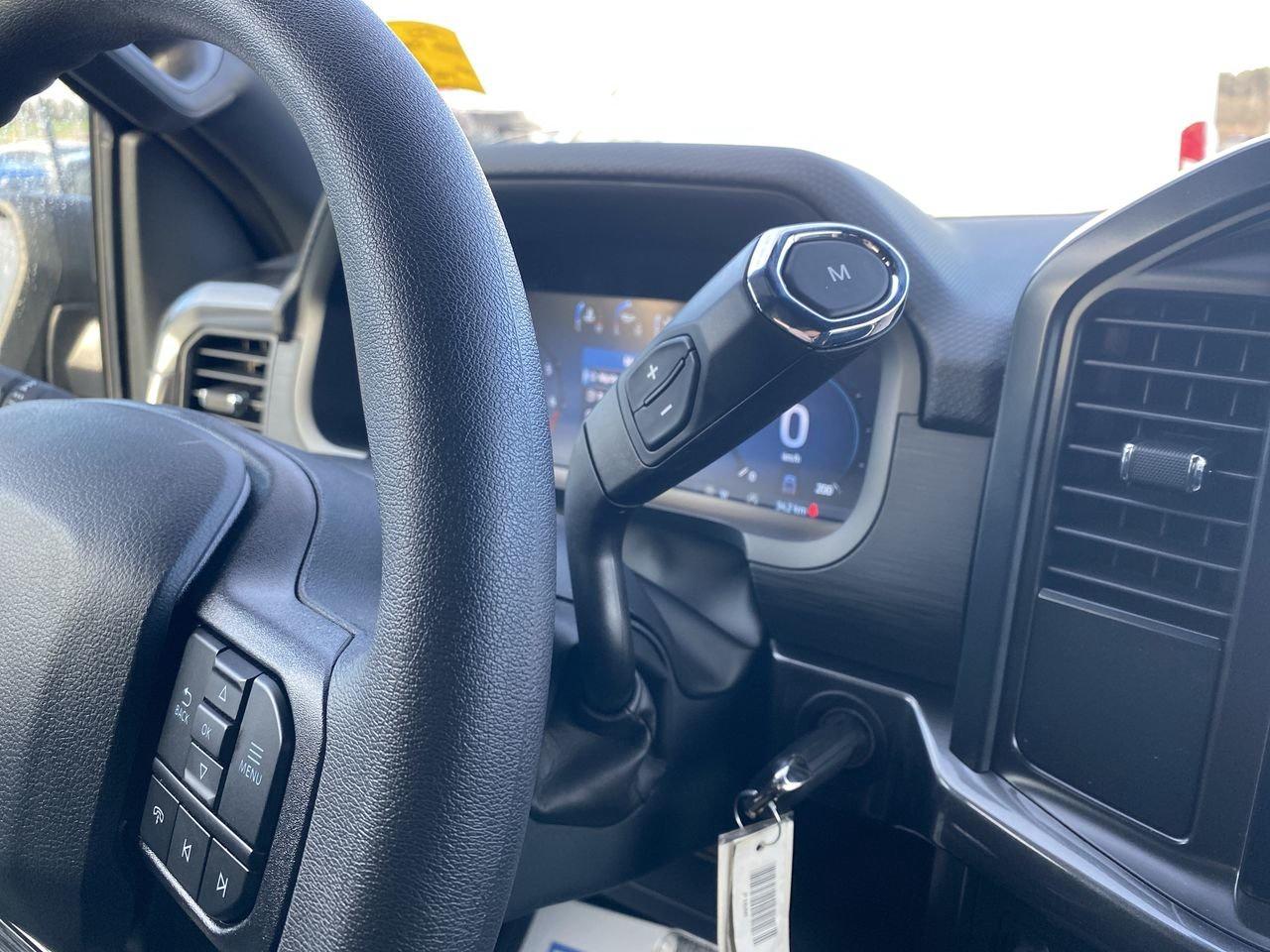 2026 Ford F-150 STX Photo