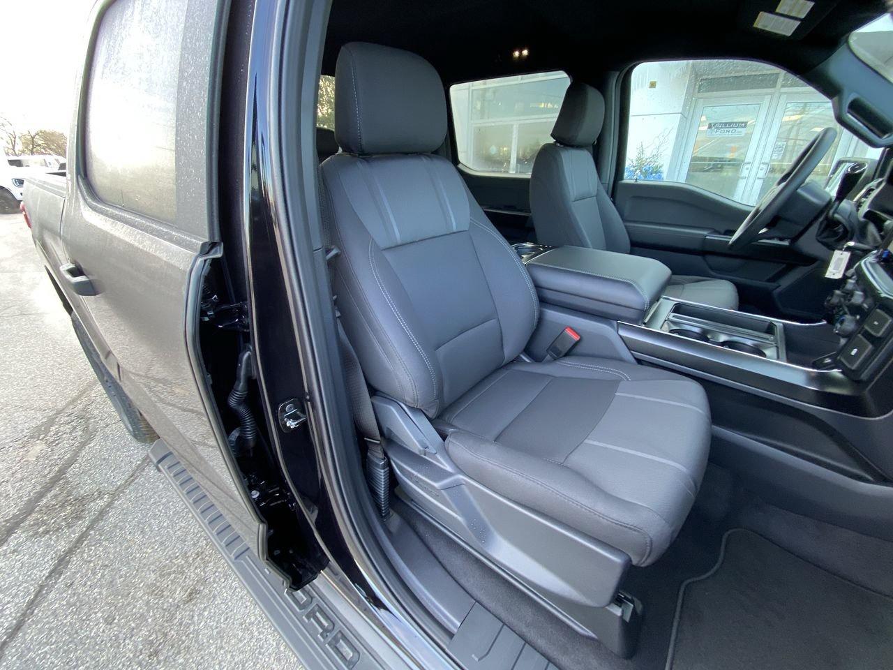 2026 Ford F-150 STX Photo