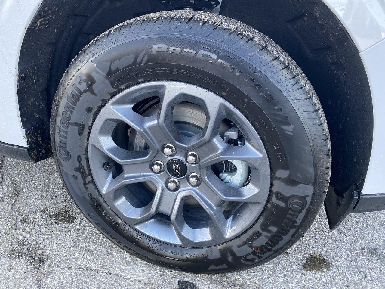 2026 Ford Maverick XLT Photo