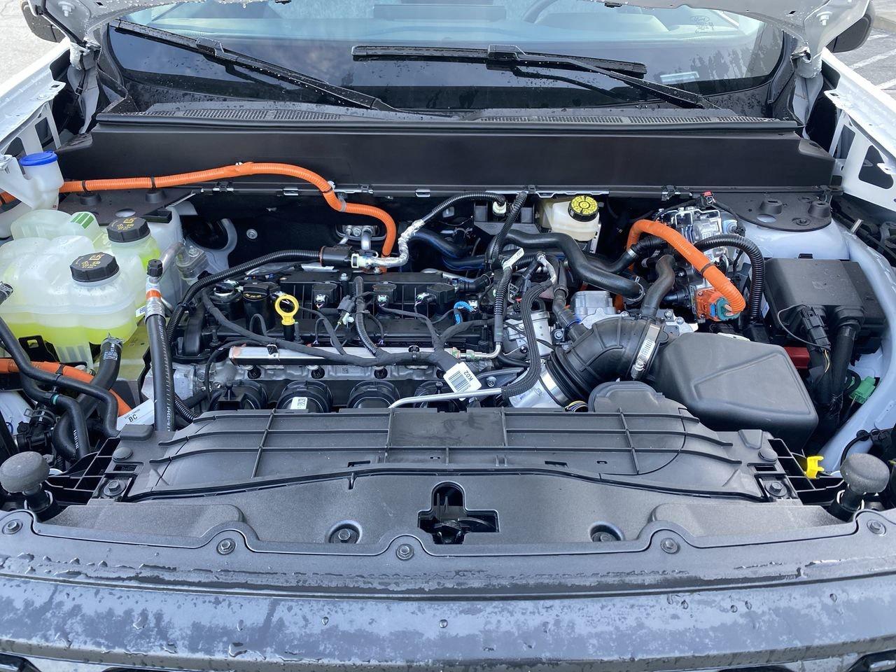 2026 Ford Maverick XLT Photo