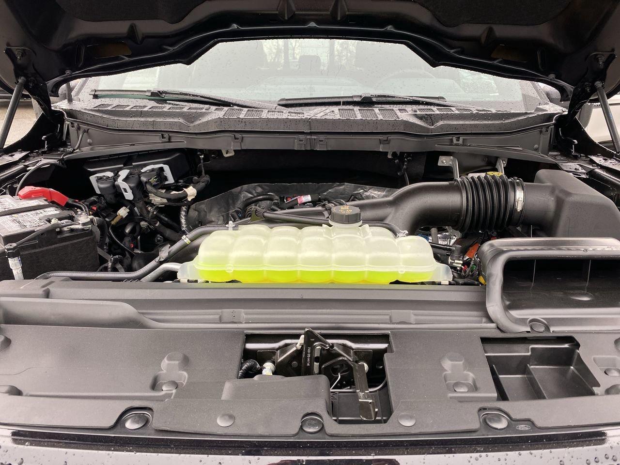 2026 Ford F-150 XLT Photo