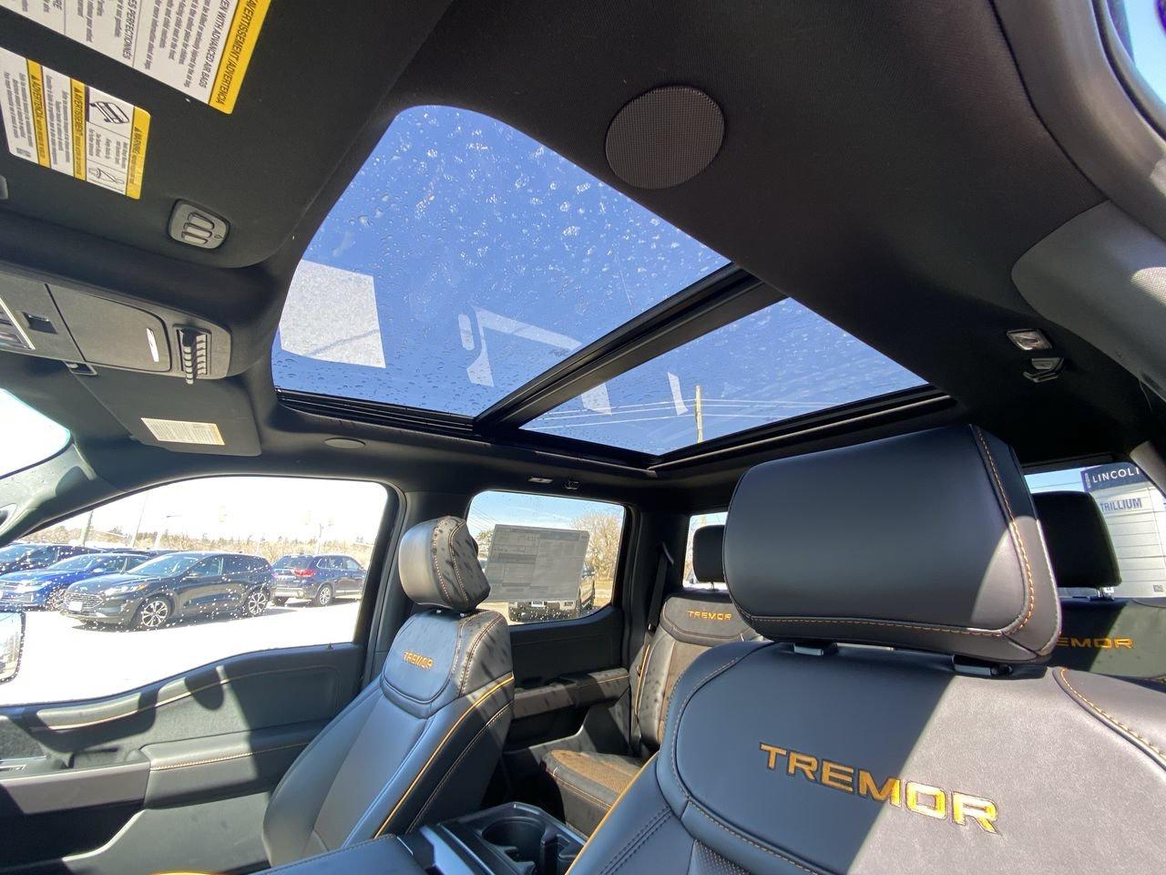 2026 Ford F-150 Tremor Photo