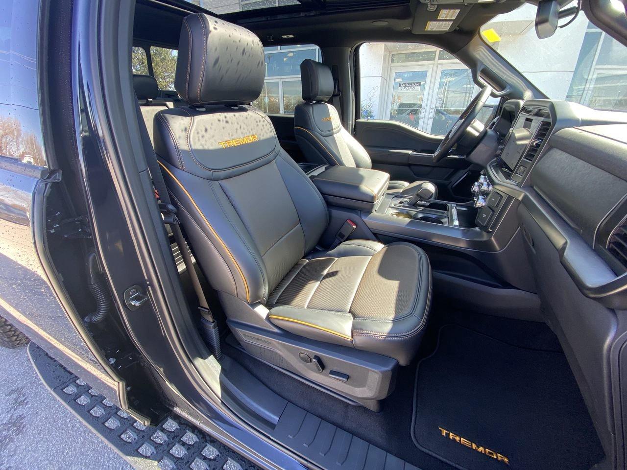 2026 Ford F-150 Tremor Photo