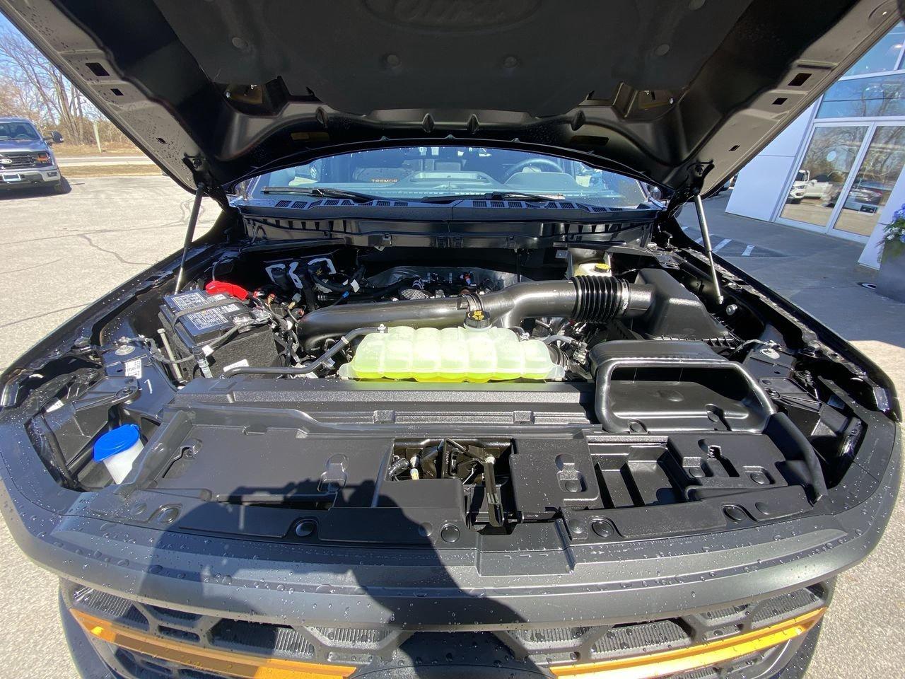 2026 Ford F-150 Tremor Photo