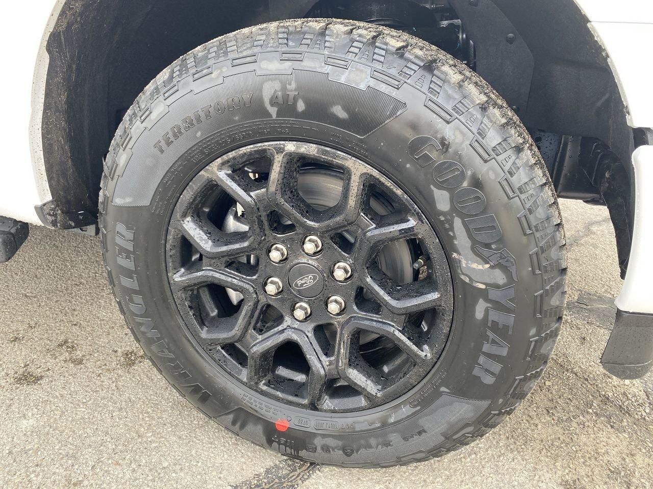 2026 Ford F-150 XLT Photo