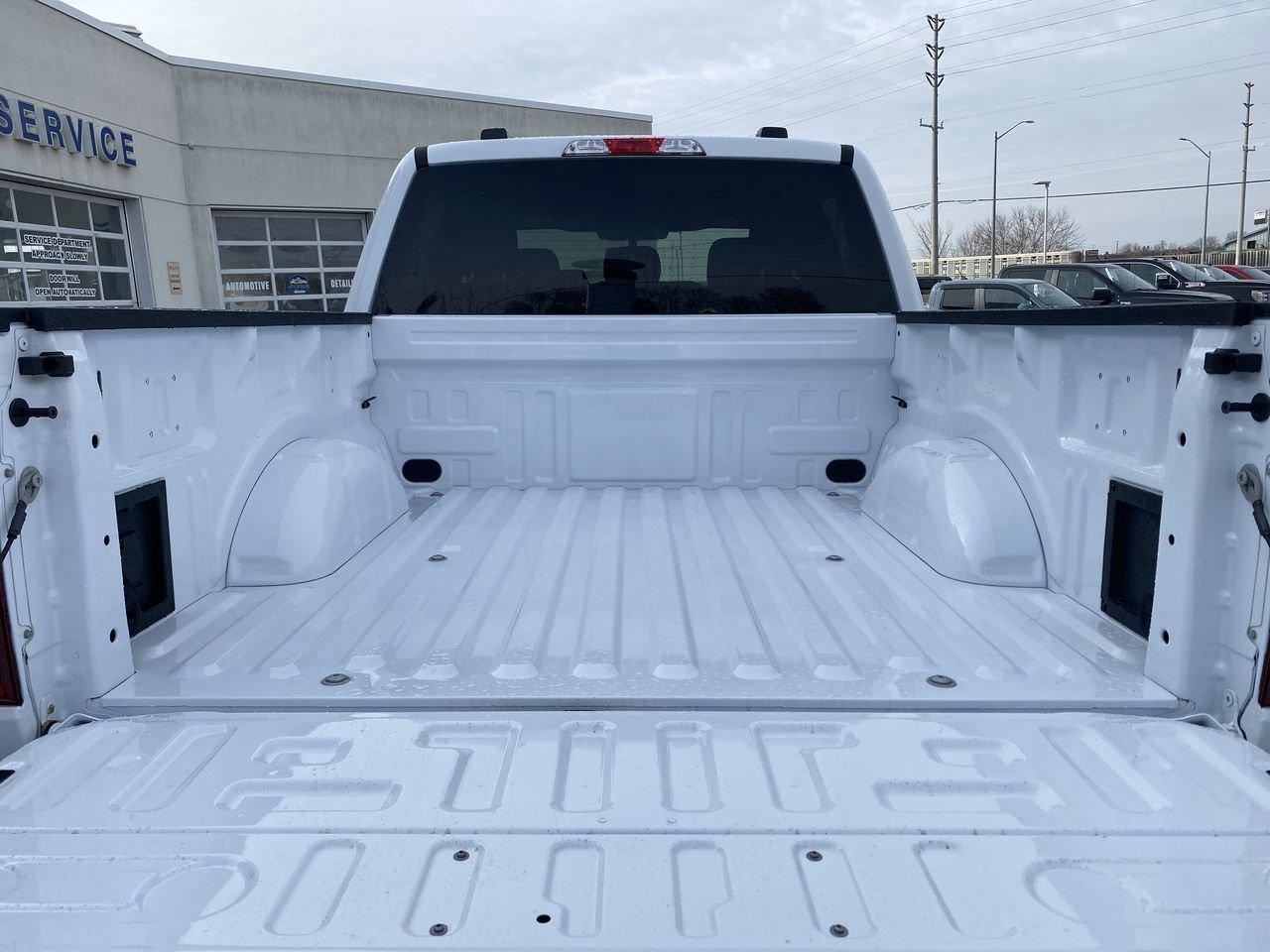 2026 Ford F-150 XLT Photo