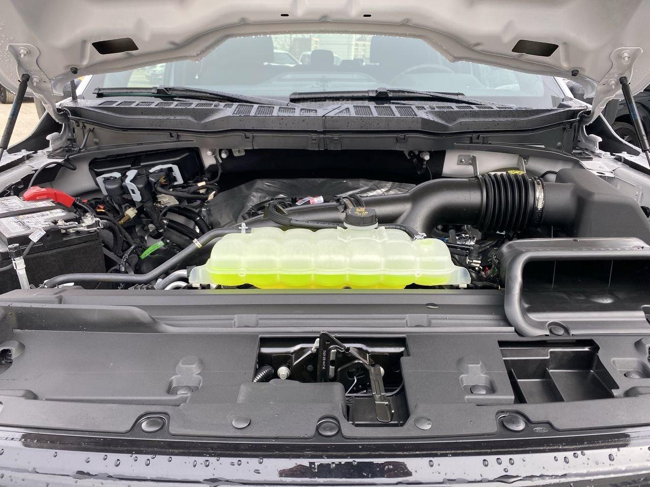 2026 Ford F-150 XLT Photo