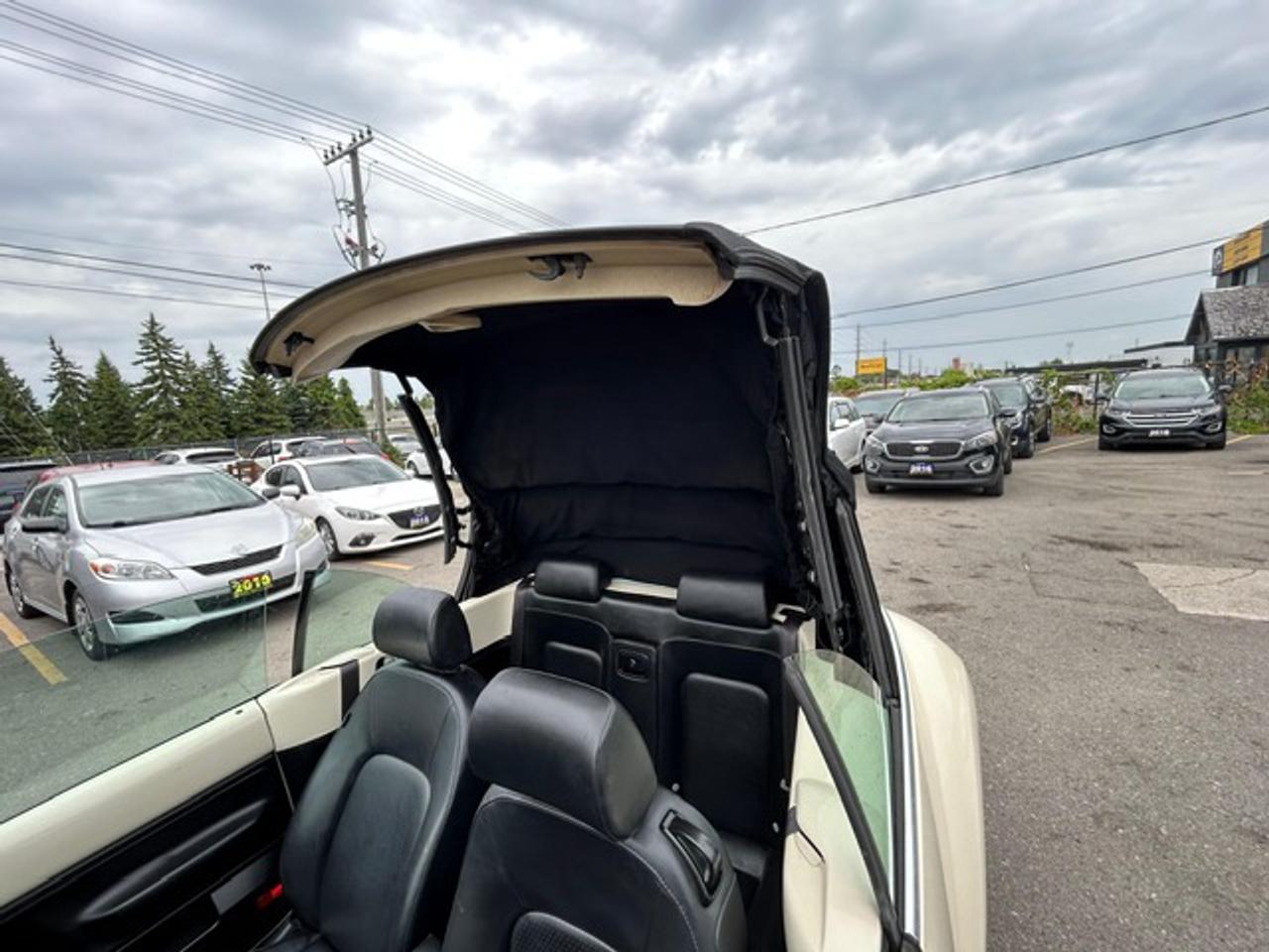 2010 Volkswagen New Beetle Comfortline Photo