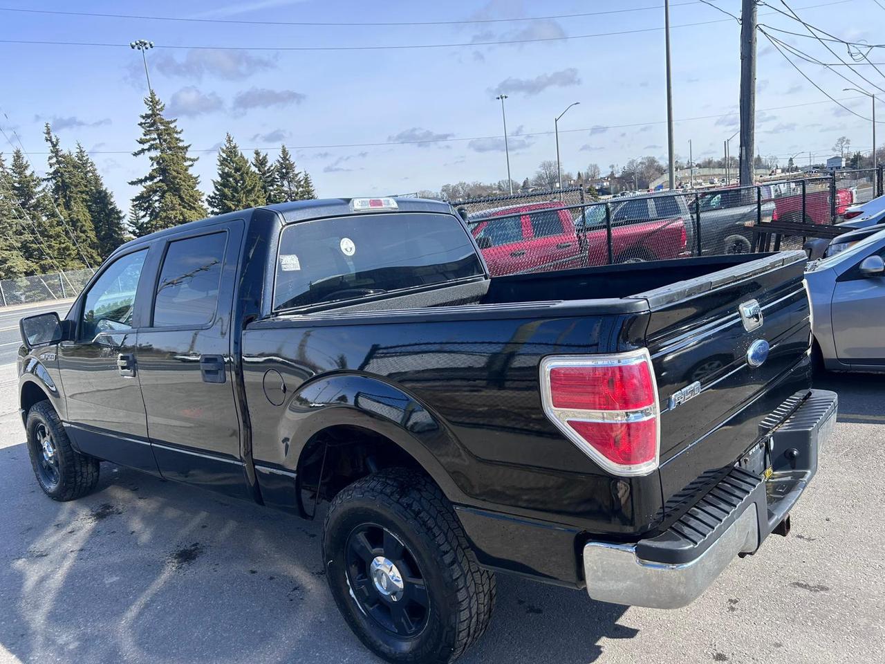 2010 Ford F-150 FX4 Photo