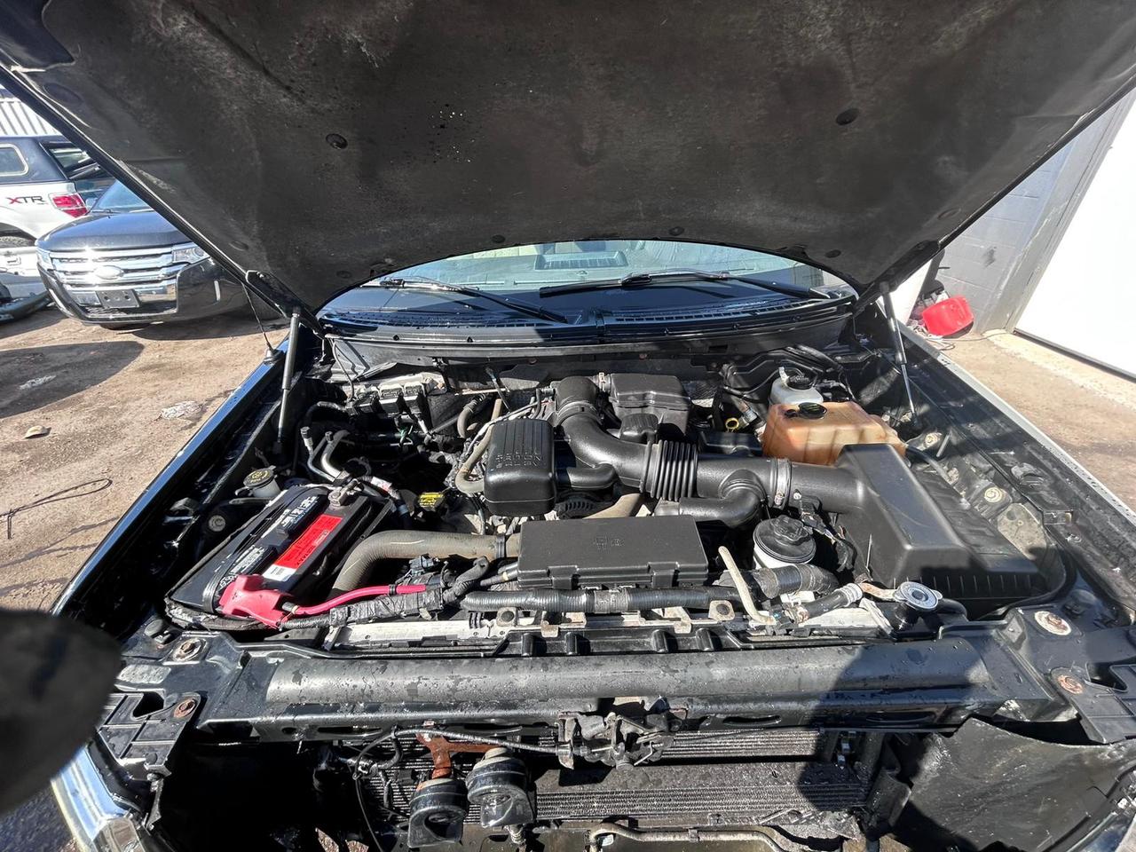 2010 Ford F-150 FX4 Photo