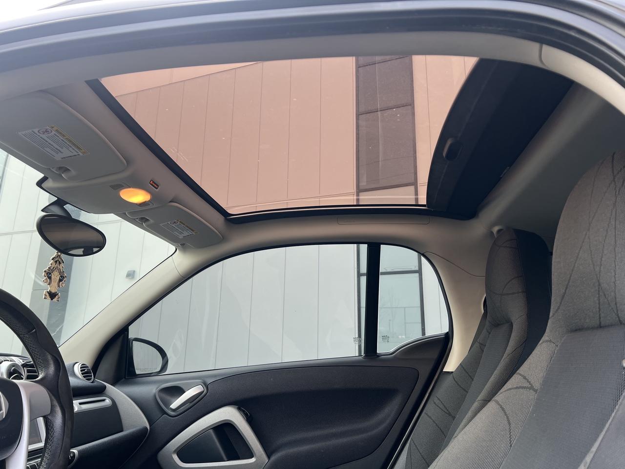 2013 Smart fortwo PASSION Photo