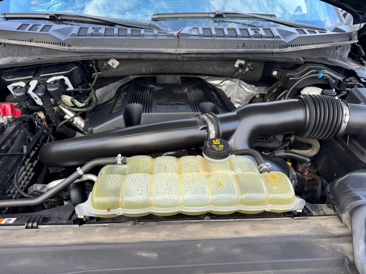 2020 Ford F-150 XLT Photo