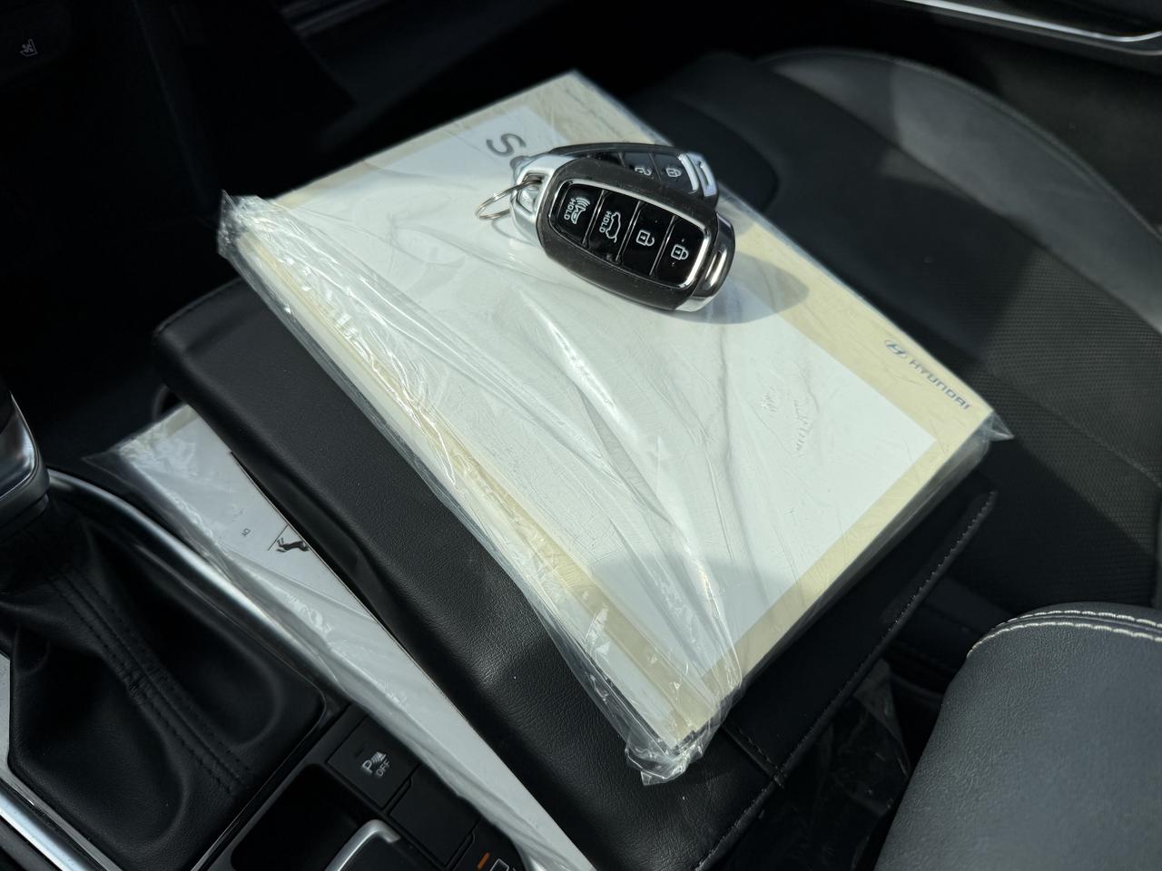 2019 Hyundai Santa Fe LUXURY AWD Photo