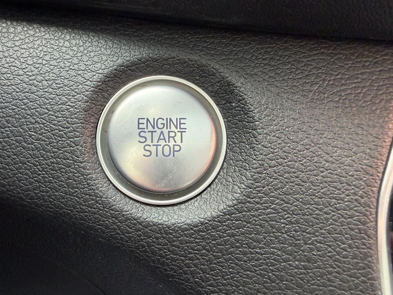 2019 Hyundai Santa Fe LUXURY AWD Photo