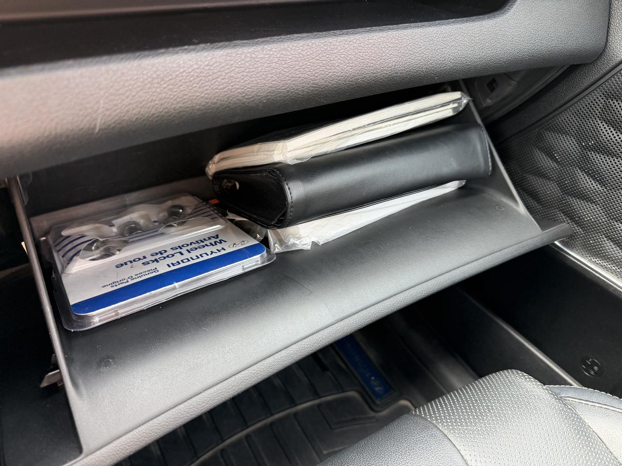 2019 Hyundai Santa Fe LUXURY AWD Photo