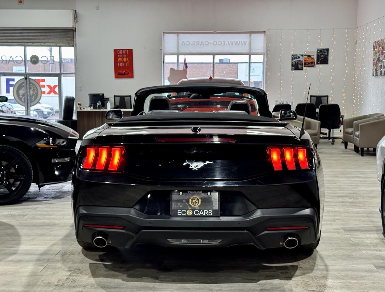 2024 Ford Mustang EB Premium Convertible|Leather|Heated Vented Seats Photo4