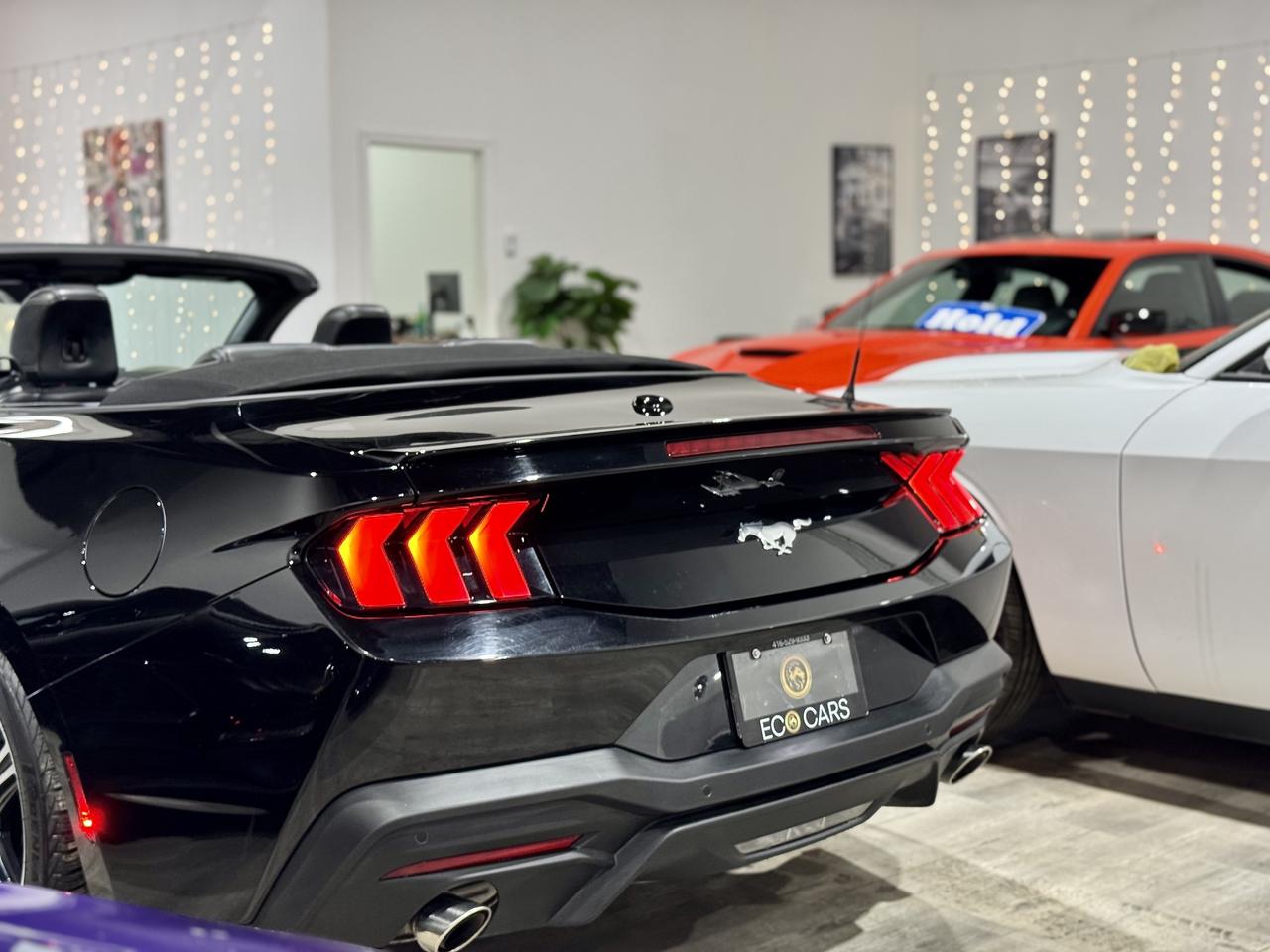 2024 Ford Mustang EB Premium Convertible|Leather|Heated Vented Seats Photo2
