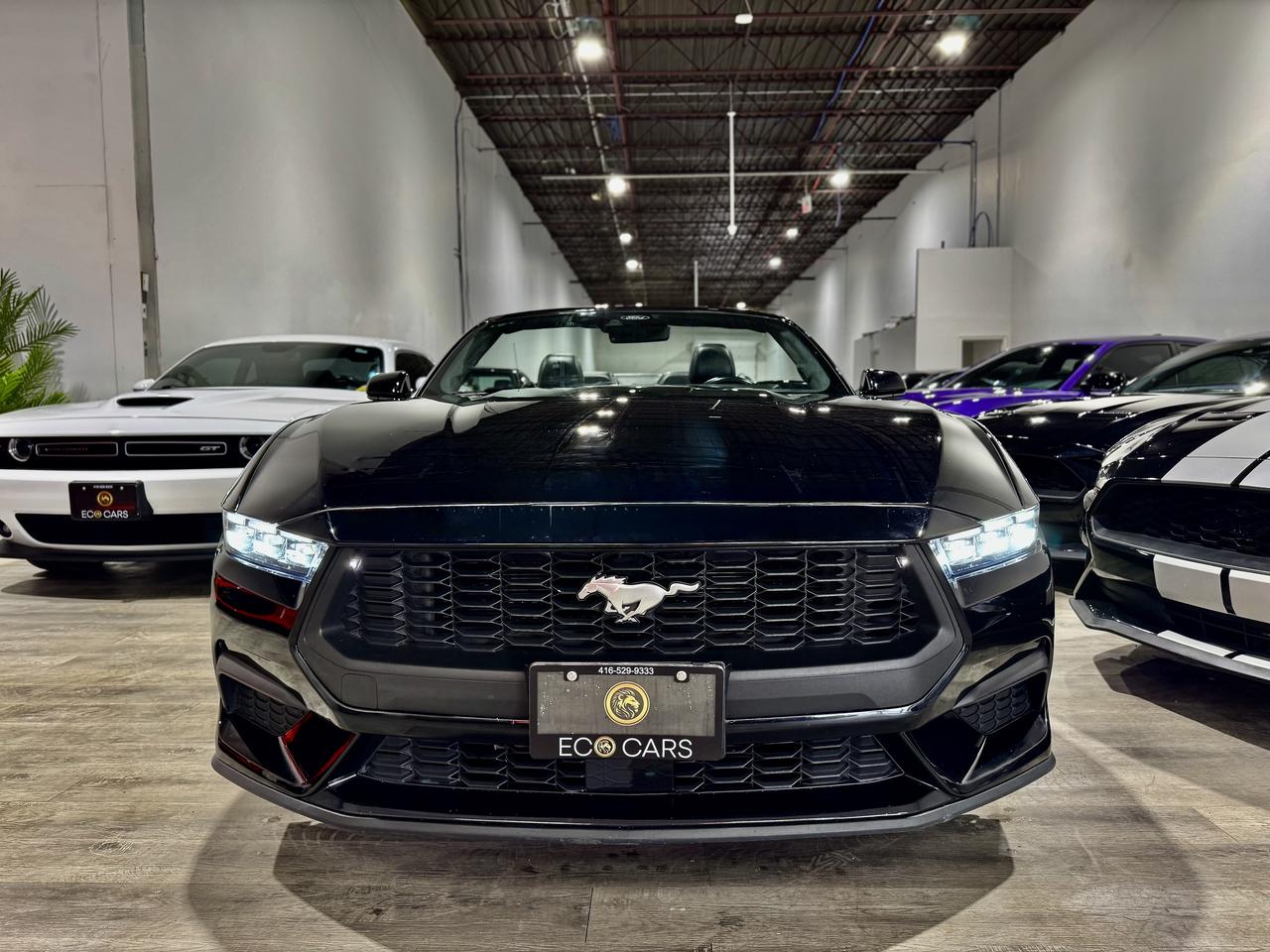 2024 Ford Mustang EB Premium Convertible|Leather|Heated Vented Seats Photo