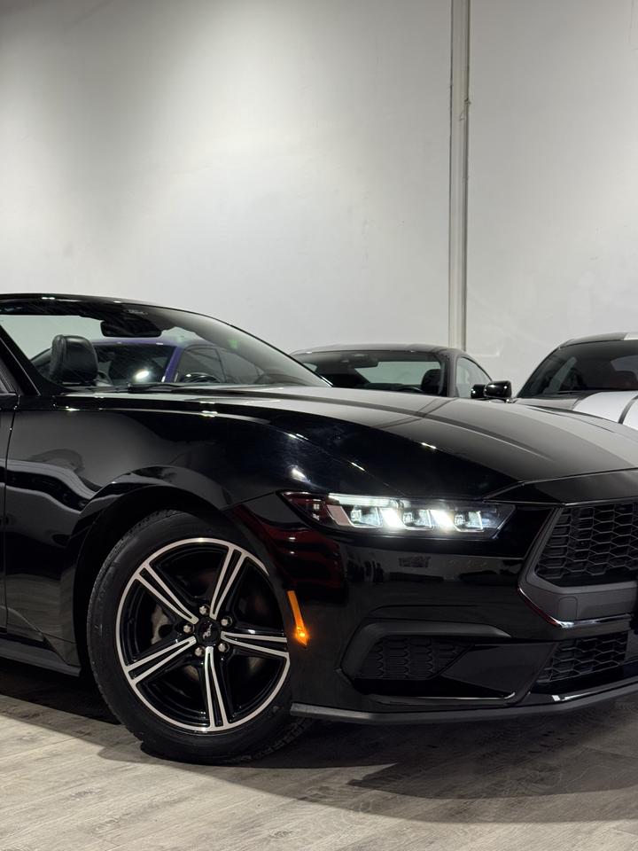 2024 Ford Mustang EB Premium Convertible|Leather|Heated Vented Seats Photo