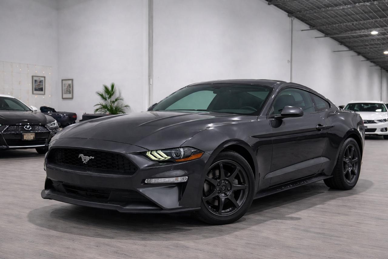 2019 Ford Mustang EB Fastback||One Owner||Clean Carfax|| Photo0