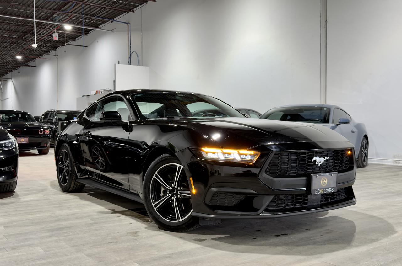 2025 Ford Mustang EB Fastback||One Owner||Clean Carfax Photo2