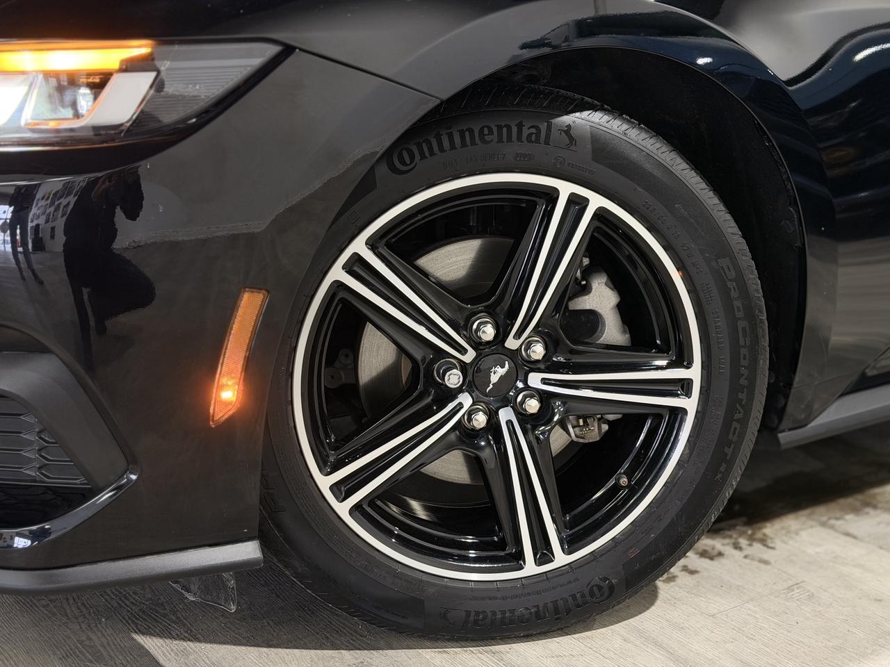 2025 Ford Mustang EB Fastback||One Owner||Clean Carfax Photo