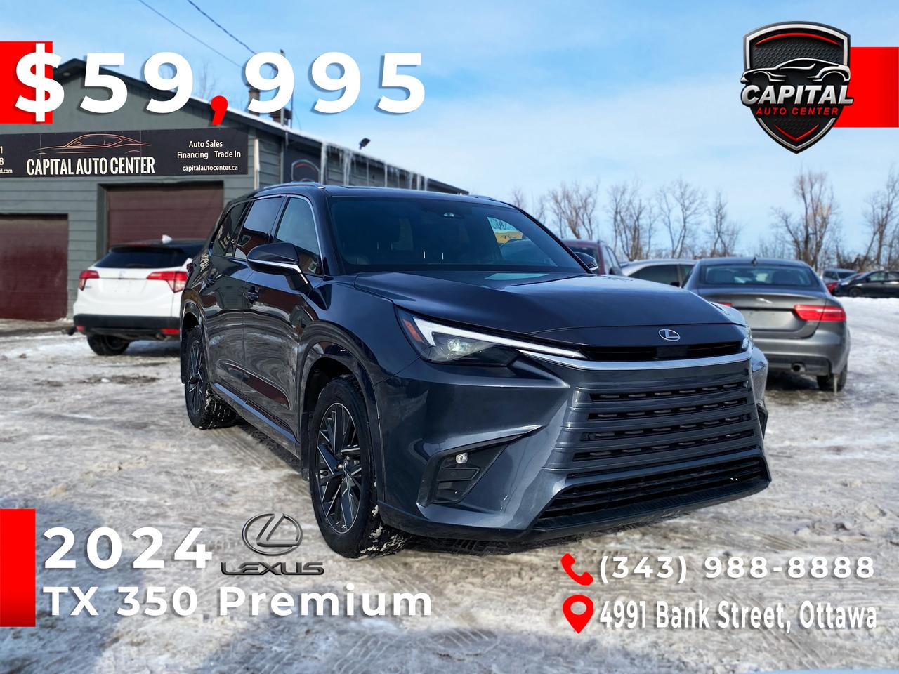 2024 Lexus TX 350 Photo