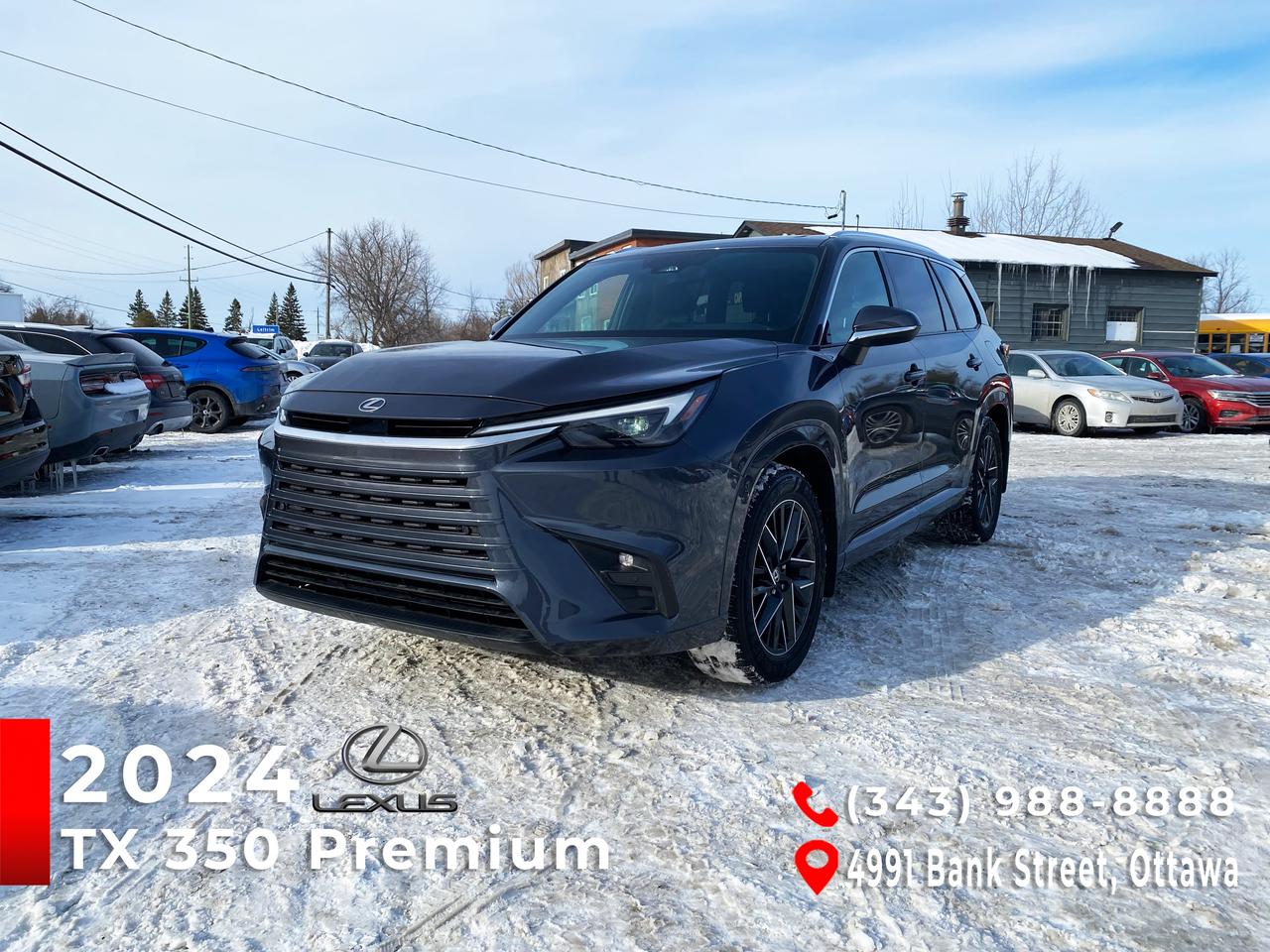 2024 Lexus TX 350 Photo2